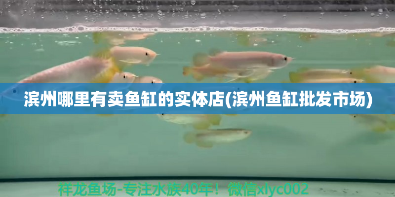 桓仁滨州哪里有卖鱼缸的实体店(滨州鱼缸批发市场)