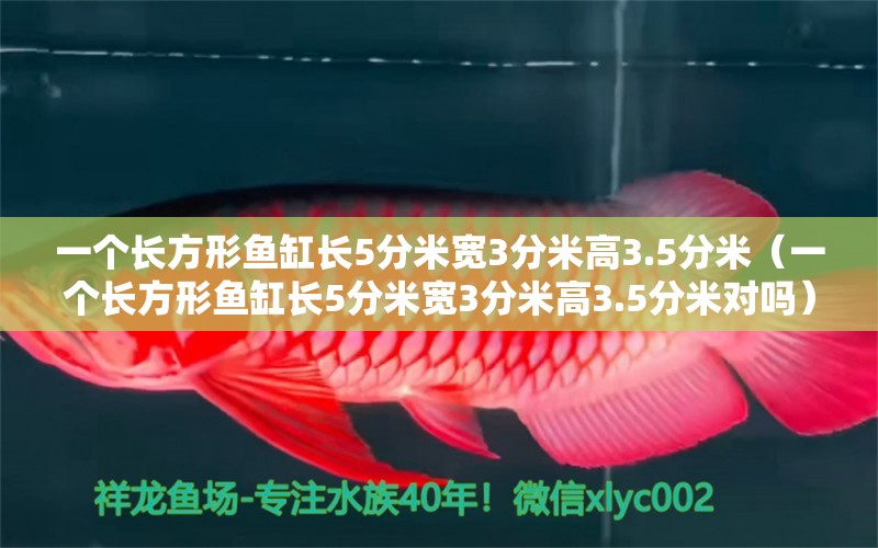 一个长方形鱼缸长5分米宽3分米高3.5分米（一个长方形鱼缸长5分米宽3分米高3.5分米对吗） 观赏鱼市场（混养鱼）