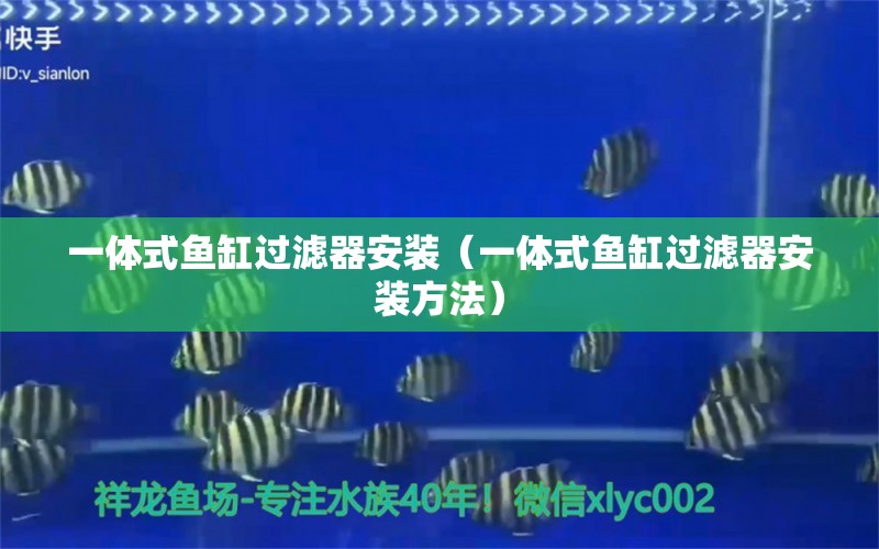 一体式鱼缸过滤器安装（一体式鱼缸过滤器安装方法） 广州龙鱼批发市场