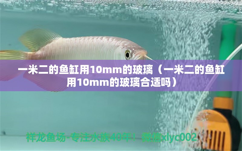 一米二的鱼缸用10mm的玻璃（一米二的鱼缸用10mm的玻璃合适吗） 鱼缸