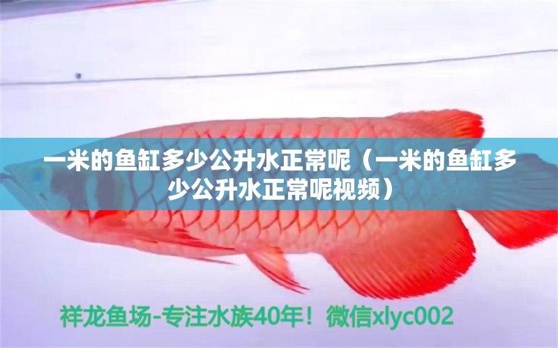 一米的鱼缸多少公升水正常呢（一米的鱼缸多少公升水正常呢视频） 鱼缸