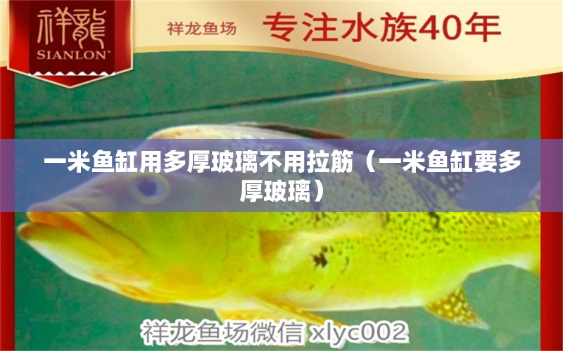 一米鱼缸用多厚玻璃不用拉筋（一米鱼缸要多厚玻璃） 海水鱼