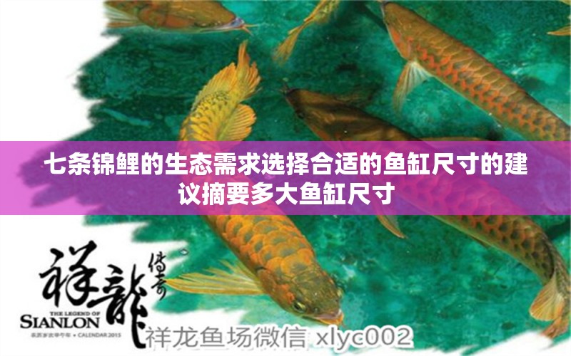 七条锦鲤的生态需求选择合适的鱼缸尺寸的建议摘要多大鱼缸尺寸