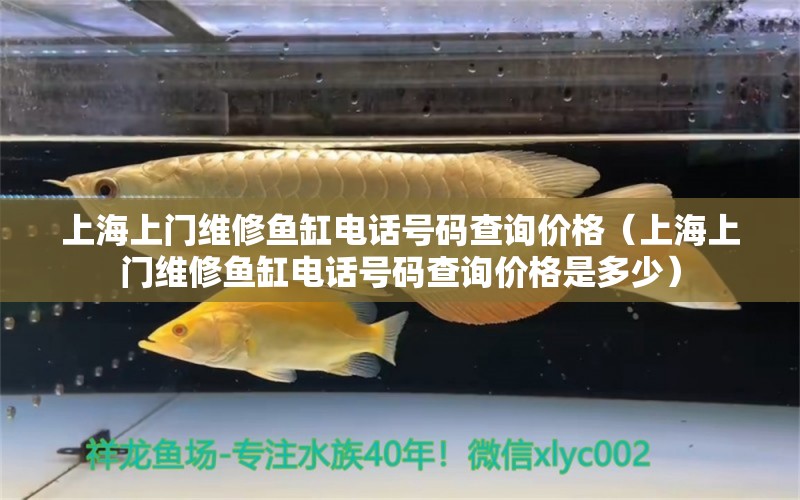 上海上门维修鱼缸电话号码查询价格（上海上门维修鱼缸电话号码查询价格是多少）