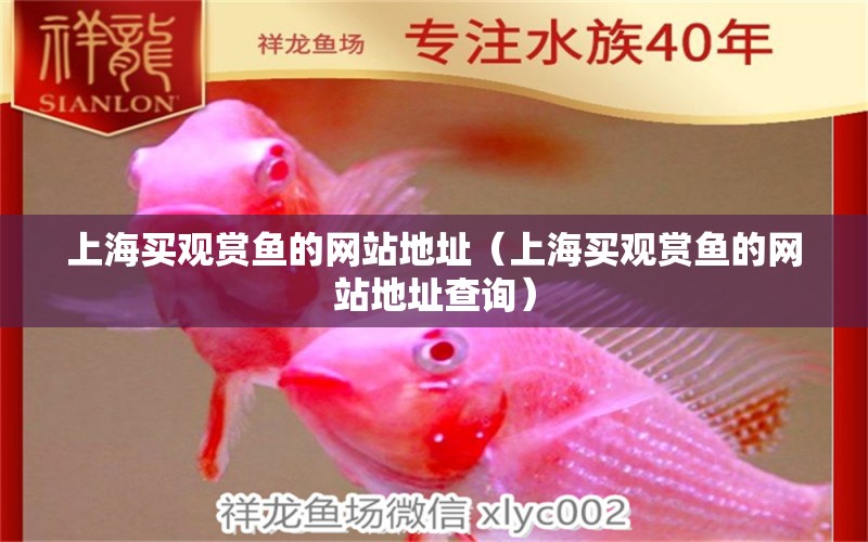 上海买观赏鱼的网站地址（上海买观赏鱼的网站地址查询）