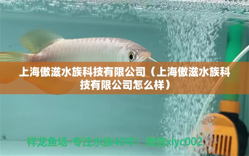 上海傲滋水族科技有限公司（上海傲滋水族科技有限公司怎么样） 全国水族馆企业名录