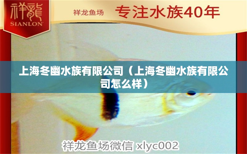 上海冬幽水族有限公司（上海冬幽水族有限公司怎么样） 全国水族馆企业名录