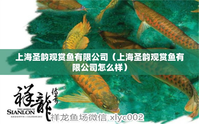 上海圣韵观赏鱼有限公司（上海圣韵观赏鱼有限公司怎么样） 全国水族馆企业名录