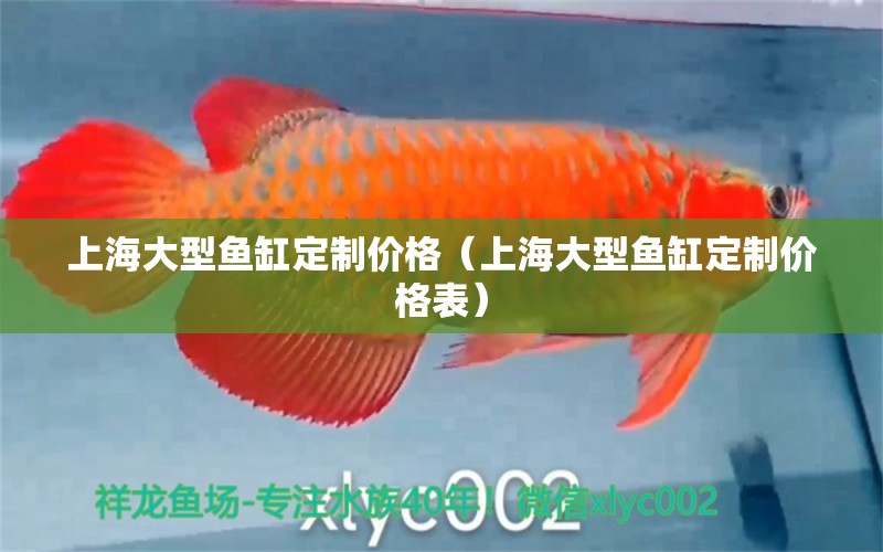 上海大型鱼缸定制价格（上海大型鱼缸定制价格表）