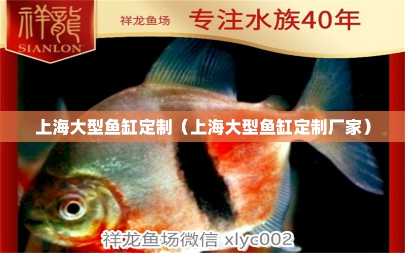 上海大型鱼缸定制（上海大型鱼缸定制厂家）