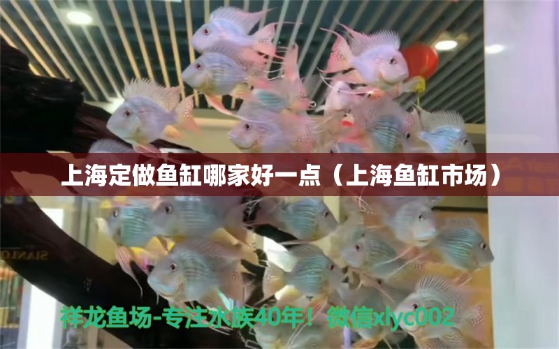 上海定做鱼缸哪家好一点（上海鱼缸市场） 其他品牌鱼缸