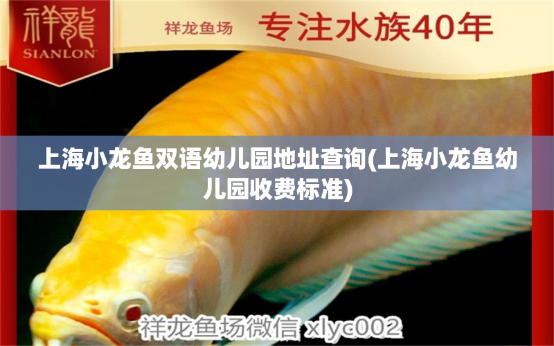 上海小龙鱼双语幼儿园地址查询(上海小龙鱼幼儿园收费标准) 水族维护服务（上门）