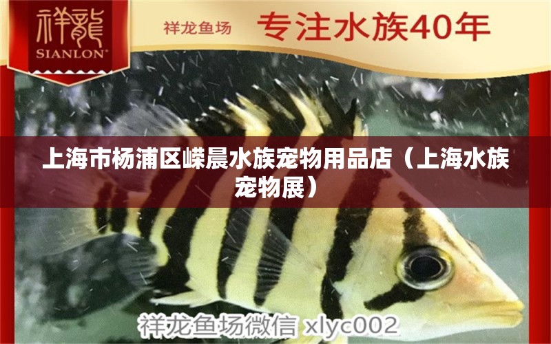 上海市杨浦区嵘晨水族宠物用品店（上海水族宠物展） 全国水族馆企业名录