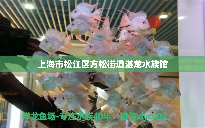上海市松江区方松街道湛龙水族馆 全国水族馆企业名录