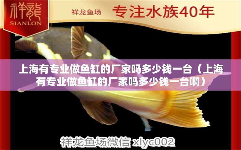上海有专业做鱼缸的厂家吗多少钱一台（上海有专业做鱼缸的厂家吗多少钱一台啊）
