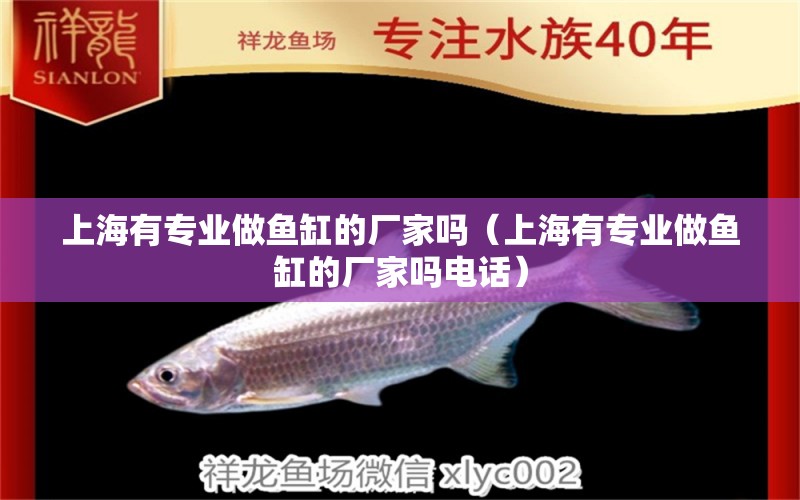 上海有专业做鱼缸的厂家吗（上海有专业做鱼缸的厂家吗电话）