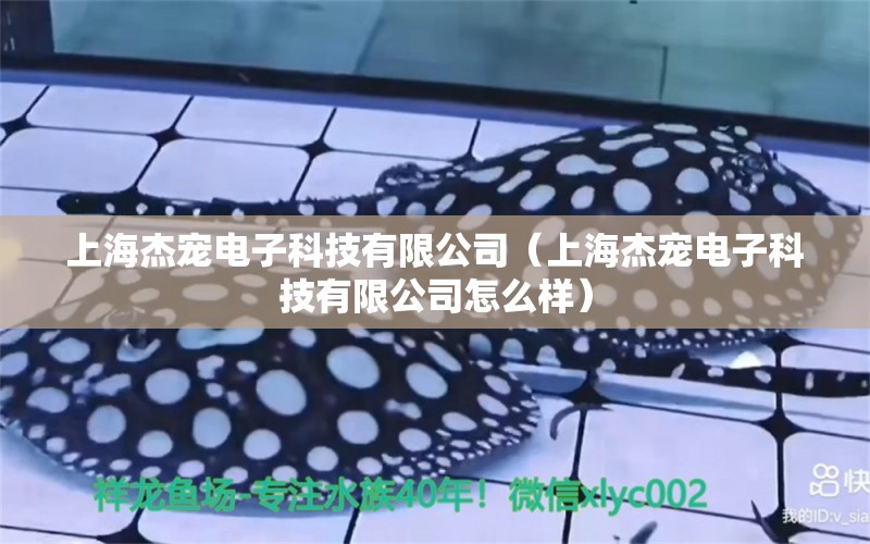 上海杰宠电子科技有限公司（上海杰宠电子科技有限公司怎么样） 全国水族馆企业名录