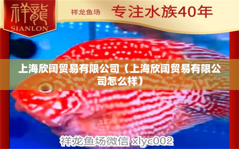 上海欣阔贸易有限公司（上海欣阔贸易有限公司怎么样） 全国水族馆企业名录