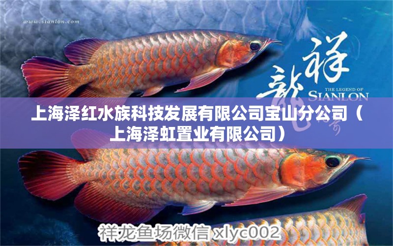 上海泽红水族科技发展有限公司宝山分公司（上海泽虹置业有限公司） 全国水族馆企业名录