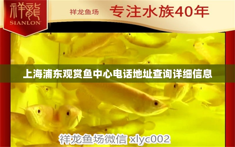 上海浦东观赏鱼中心电话地址查询详细信息