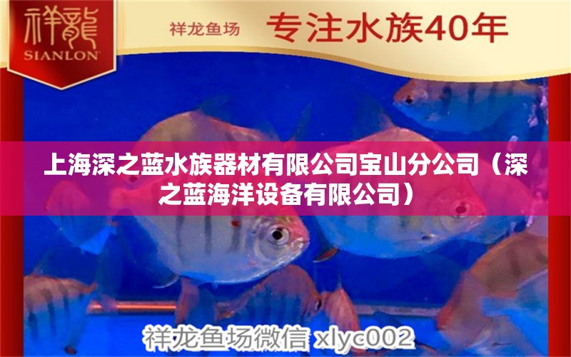 上海深之蓝水族器材有限公司宝山分公司（深之蓝海洋设备有限公司）