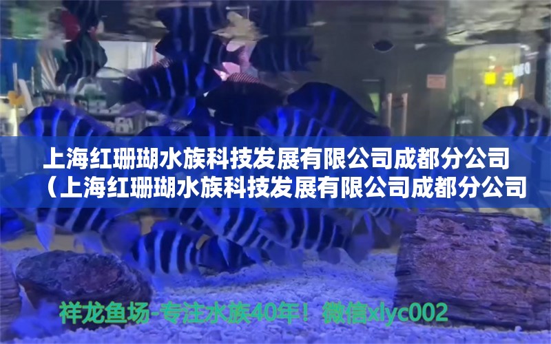 上海红珊瑚水族科技发展有限公司成都分公司（上海红珊瑚水族科技发展有限公司成都分公司怎么样）