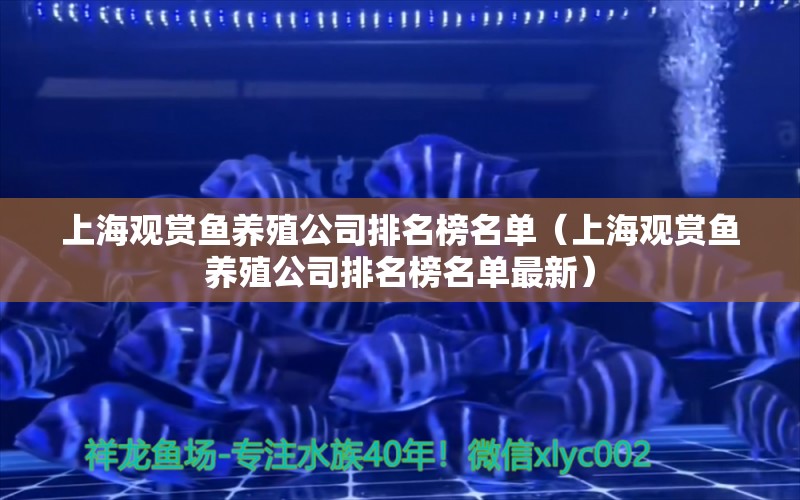 上海观赏鱼养殖公司排名榜名单（上海观赏鱼养殖公司排名榜名单最新）