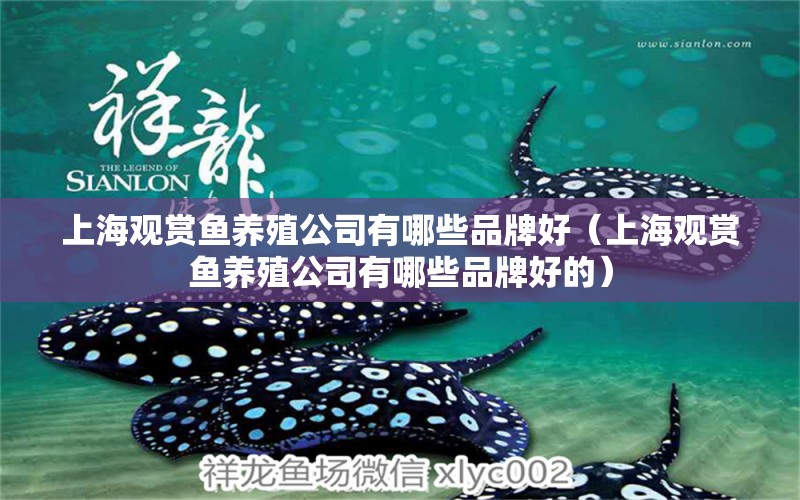 上海观赏鱼养殖公司有哪些品牌好（上海观赏鱼养殖公司有哪些品牌好的）