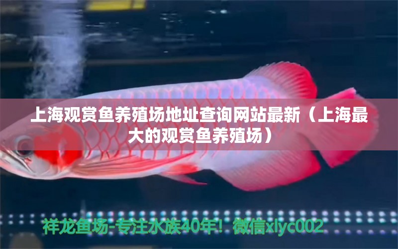上海观赏鱼养殖场地址查询网站最新（上海最大的观赏鱼养殖场）