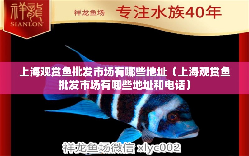 上海观赏鱼批发市场有哪些地址（上海观赏鱼批发市场有哪些地址和电话）