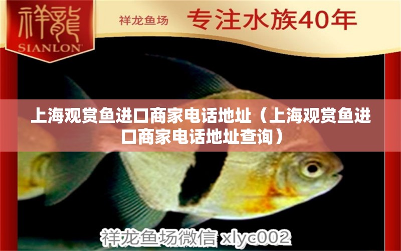 上海观赏鱼进口商家电话地址（上海观赏鱼进口商家电话地址查询）