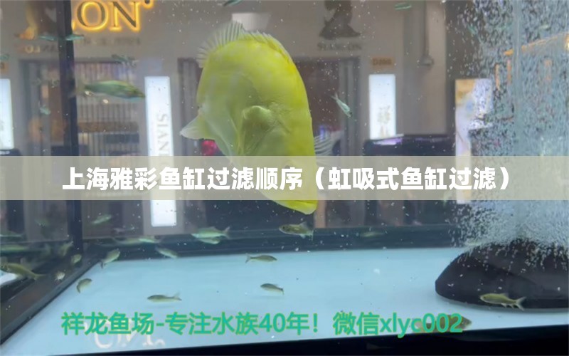 上海雅彩鱼缸过滤顺序（虹吸式鱼缸过滤）