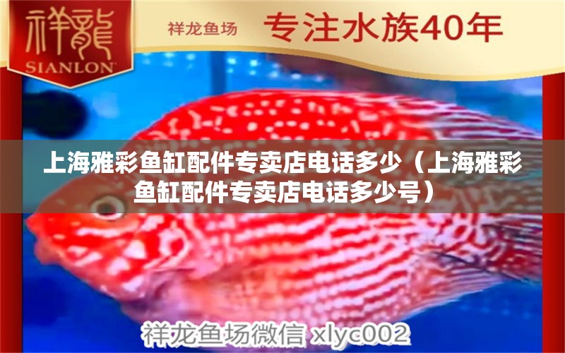 上海雅彩鱼缸配件专卖店电话多少（上海雅彩鱼缸配件专卖店电话多少号）