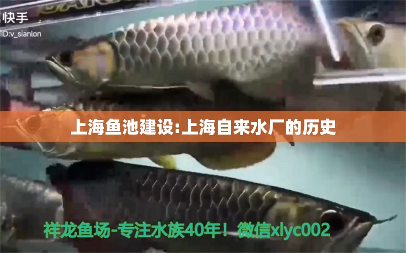 上海鱼池建设:上海自来水厂的历史 锦鲤池鱼池建设
