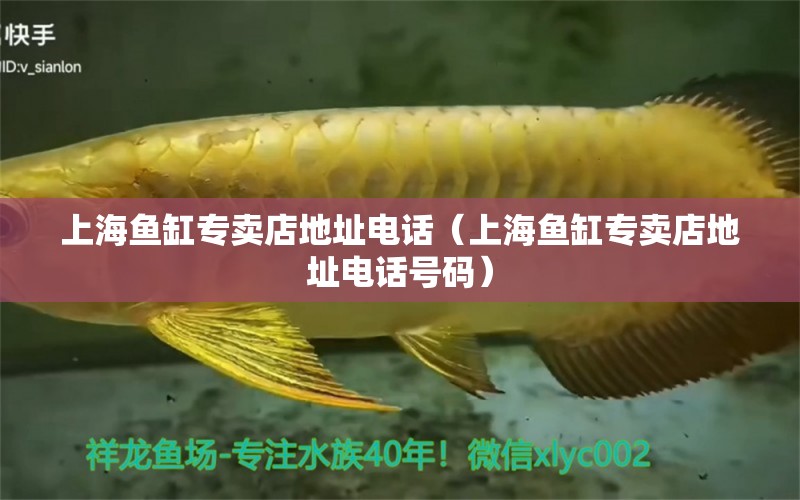 上海鱼缸专卖店地址电话（上海鱼缸专卖店地址电话号码）