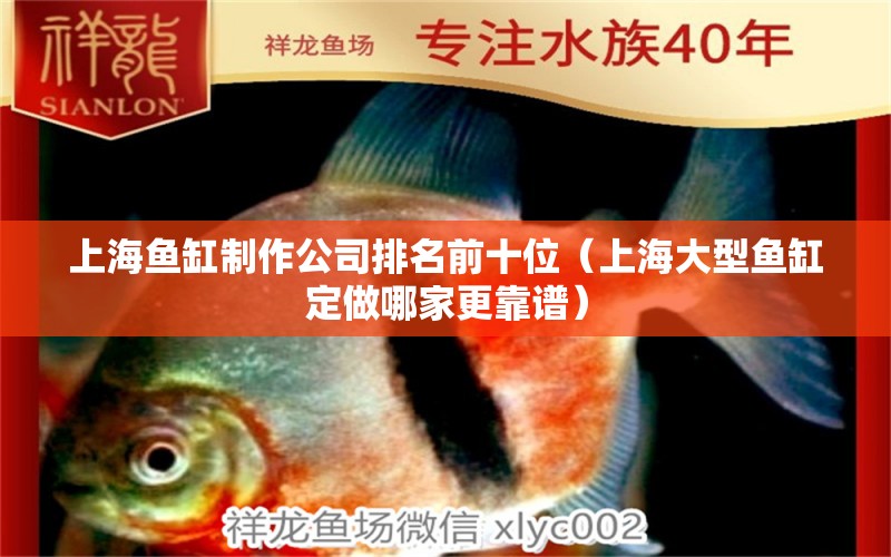 上海鱼缸制作公司排名前十位（上海大型鱼缸定做哪家更靠谱）