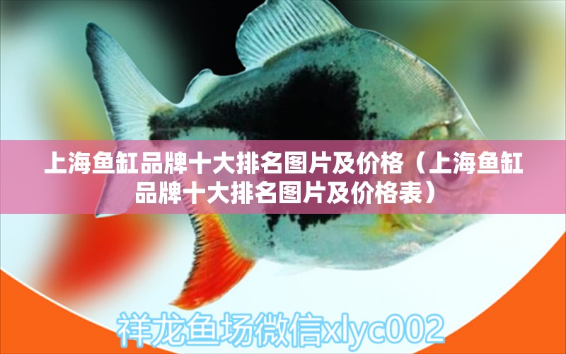 上海鱼缸品牌十大排名图片及价格（上海鱼缸品牌十大排名图片及价格表）