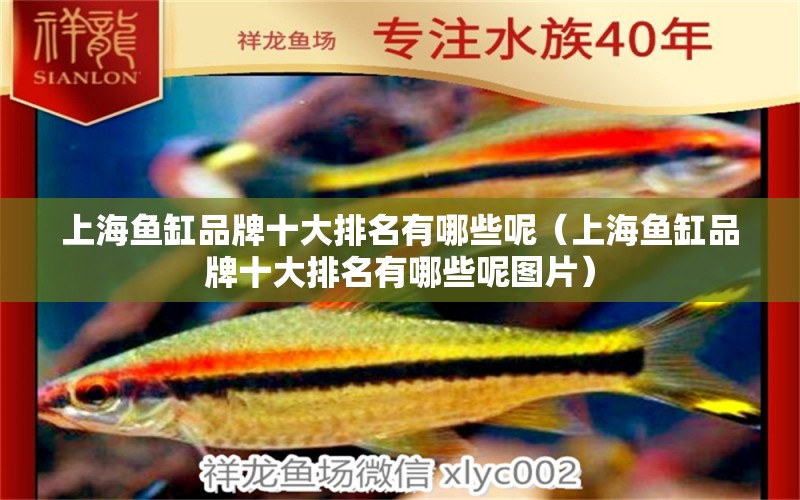 上海鱼缸品牌十大排名有哪些呢（上海鱼缸品牌十大排名有哪些呢图片）