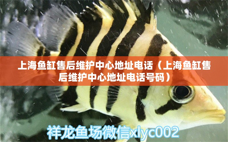 上海鱼缸售后维护中心地址电话（上海鱼缸售后维护中心地址电话号码）
