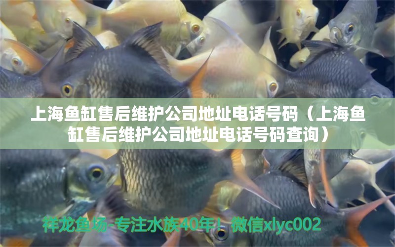 上海鱼缸售后维护公司地址电话号码（上海鱼缸售后维护公司地址电话号码查询） 其他品牌鱼缸