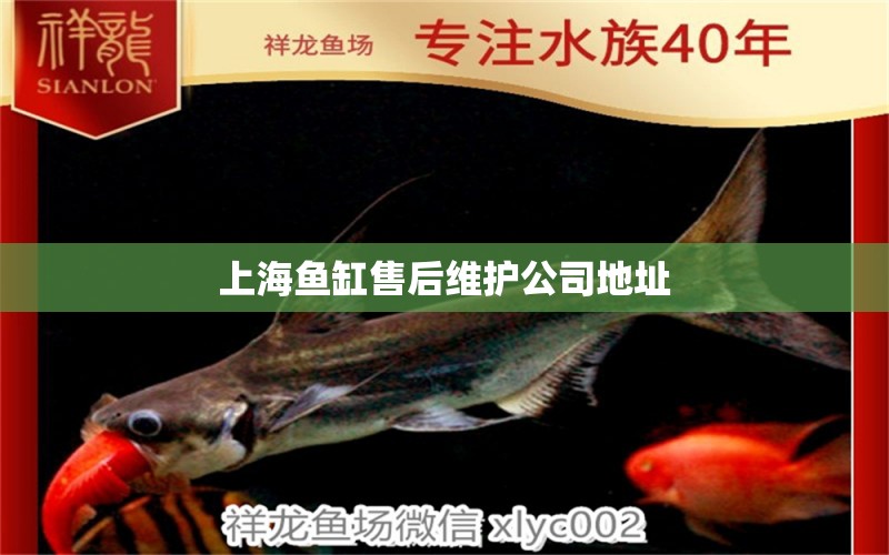 上海鱼缸售后维护公司地址 其他品牌鱼缸
