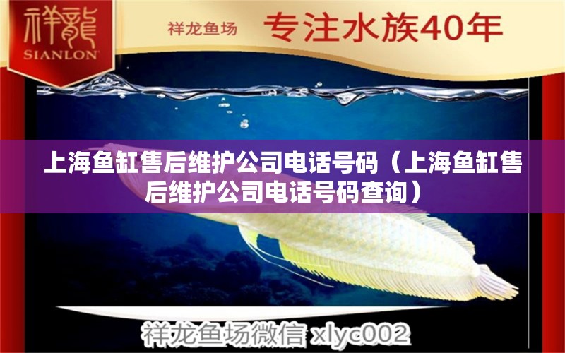 上海鱼缸售后维护公司电话号码（上海鱼缸售后维护公司电话号码查询）