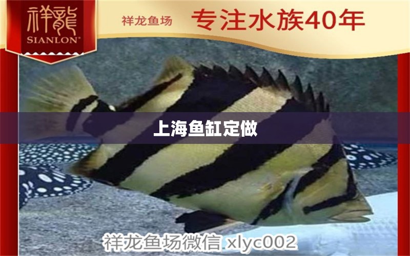 上海鱼缸定做 鱼缸