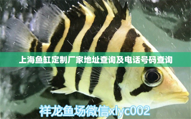 上海鱼缸定制厂家地址查询及电话号码查询