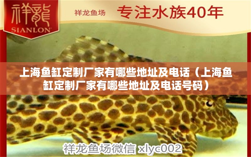 上海鱼缸定制厂家有哪些地址及电话（上海鱼缸定制厂家有哪些地址及电话号码）