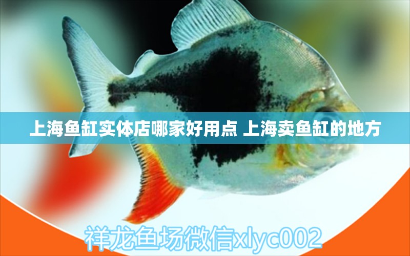 上海鱼缸实体店哪家好用点 上海卖鱼缸的地方