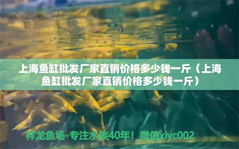 上海鱼缸批发厂家直销价格多少钱一斤（上海鱼缸批发厂家直销价格多少钱一斤）