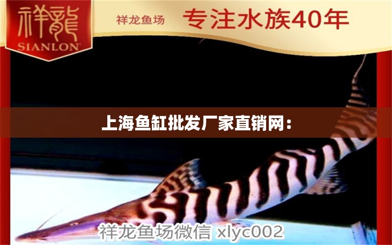 上海鱼缸批发厂家直销网：