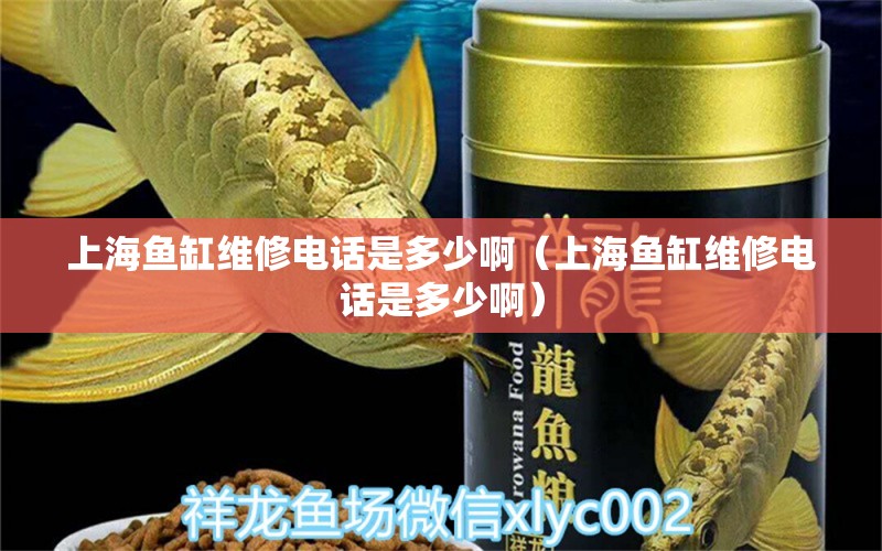 上海鱼缸维修电话是多少啊（上海鱼缸维修电话是多少啊） 其他品牌鱼缸