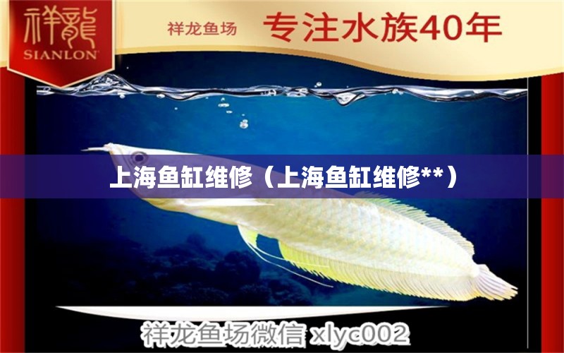 上海鱼缸维修（上海鱼缸维修**）